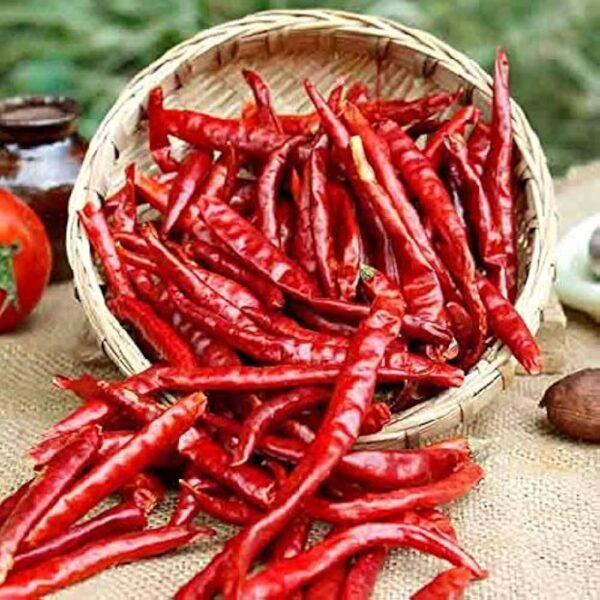 Red Dry Chilli